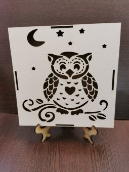 Cutie licheni 12