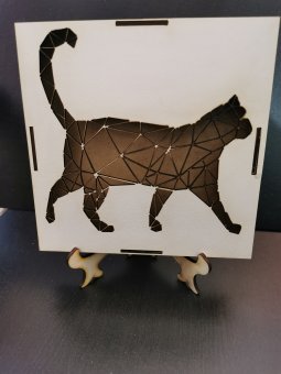 Cutie licheni 13