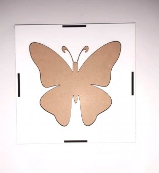 Cutie licheni 16