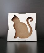 Cutie licheni 47